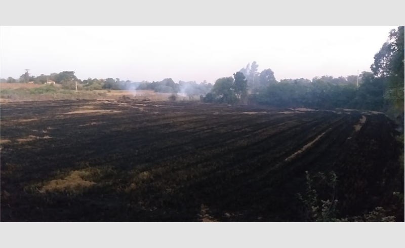 Fogo em vegetação na localidade de Vila Rosa