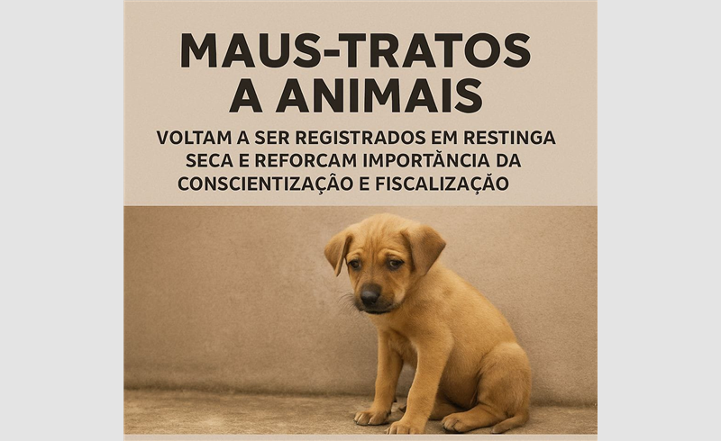 Maus-tratos a animais voltam a ser registrados em Restinga Sêca e reforçam importância da conscientização e fiscalização