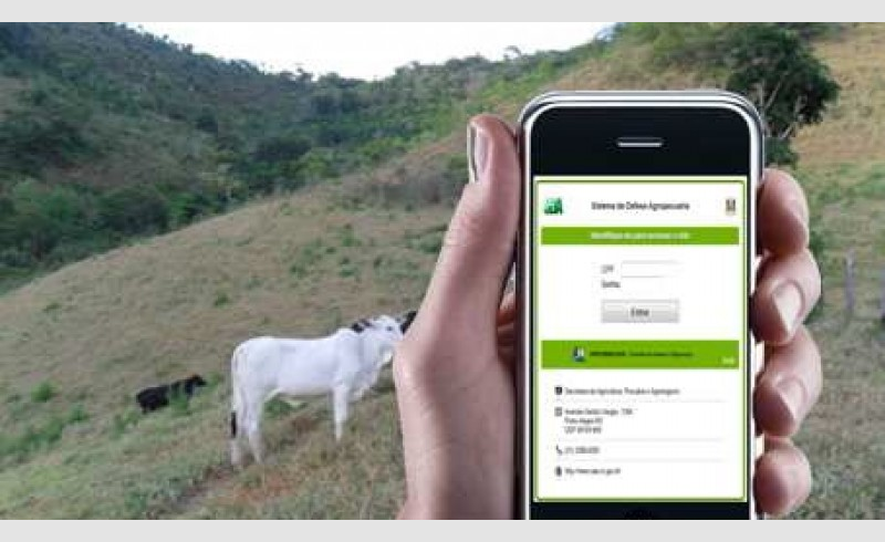 Não declaração de recebimento de animais em 30 dias pode gerar bloqueio da propriedade e multa