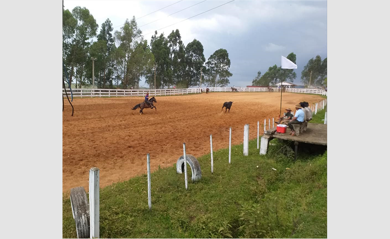 Governo libera atividades e provas campeiras com bandeira amarela ou laranja no Distanciamento Controlado