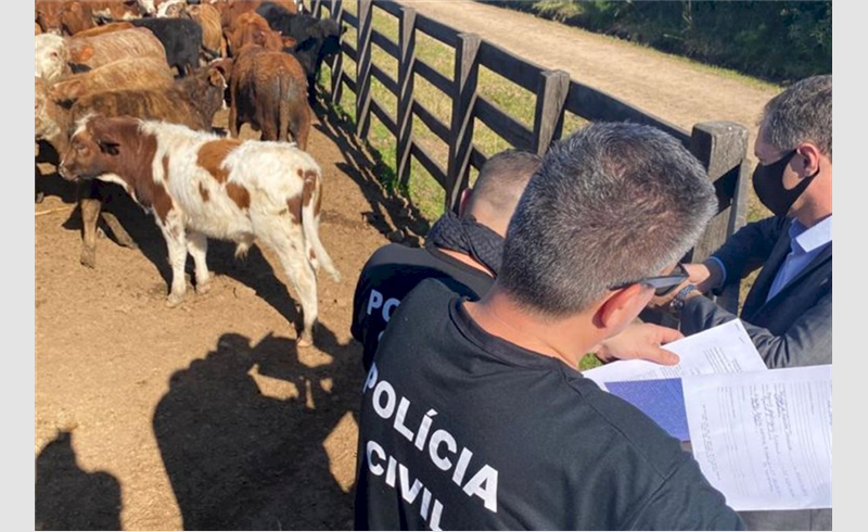 Oito são indiciados por suposto golpe da compra e venda de gado