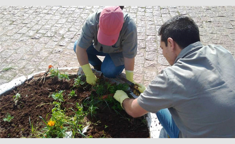 Prefeitura realiza plantio de flores