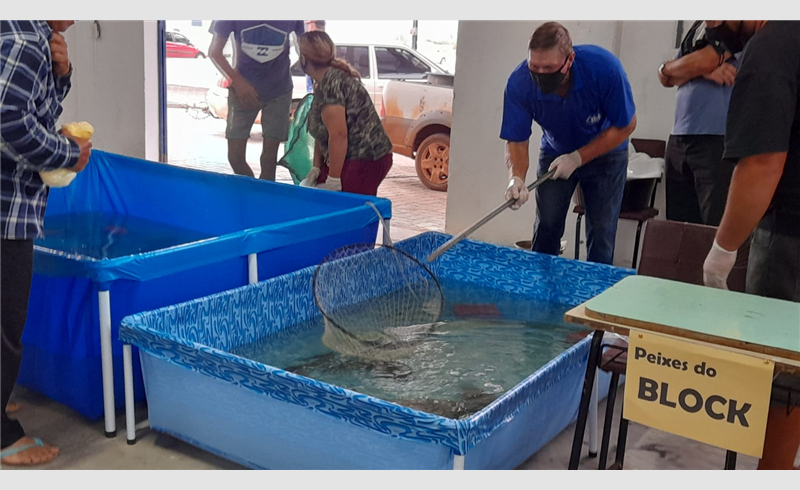 Feira do Peixe Vivo de Restinga Sêca