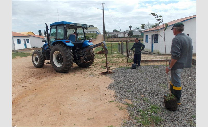 Prefeitura efetua plantio de árvores no bairro Bela Vista