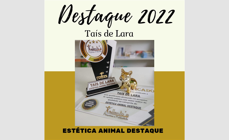 Destaques 2022 - Instituto de Pesquisa Tallento's