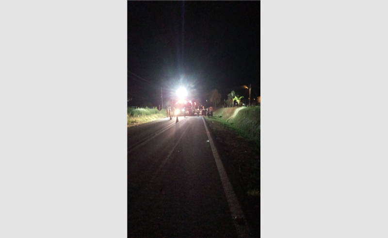 Acidente entre motocicleta e animal na ERS-149 , na localidade de Lomba Alta