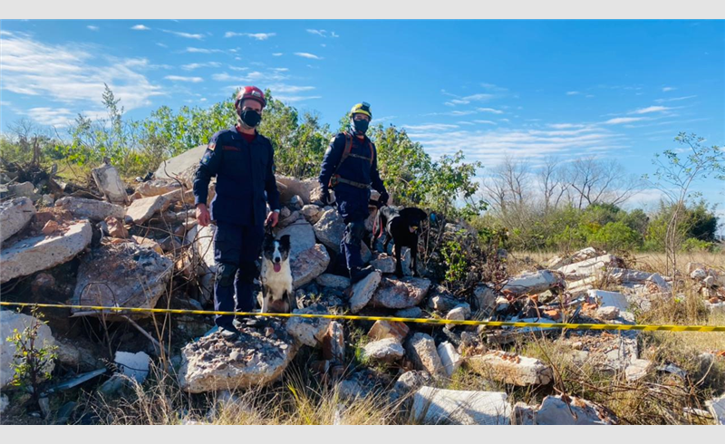 Cães treinados para resgate passam por certificação em Santa Maria