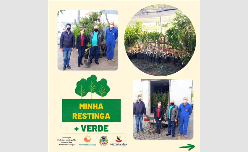 Minha Restinga mais verde: projeto visa substituição de árvores sob fiação elétrica