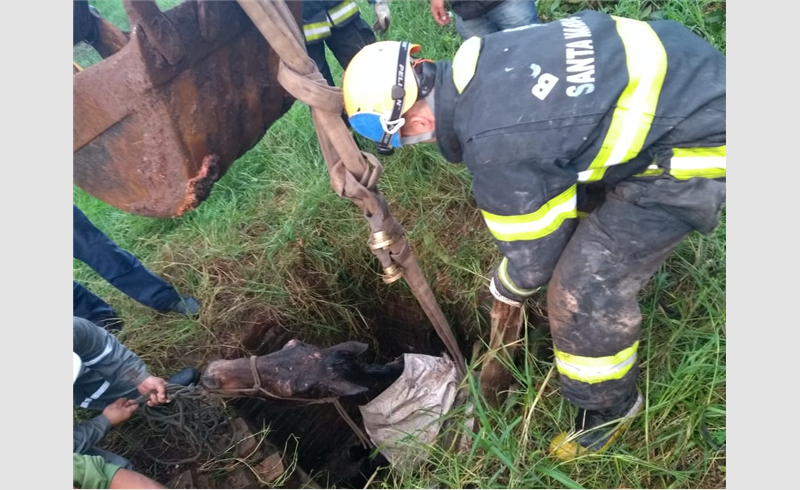 Bombeiros resgatam cavalo em Restinga Sêca