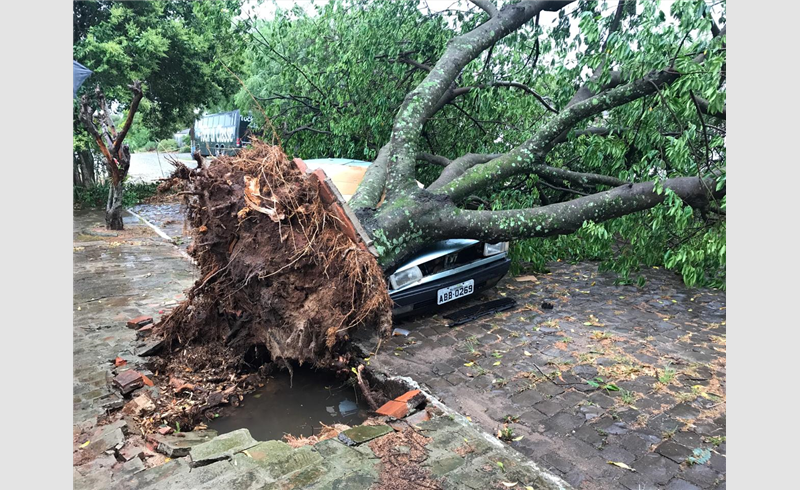 Restinga Sêca registra quedas de árvores e estragos causados por temporal