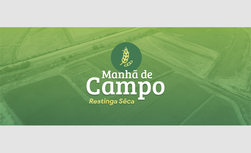 Manhã de Campo da Cotrisel é nesta quinta