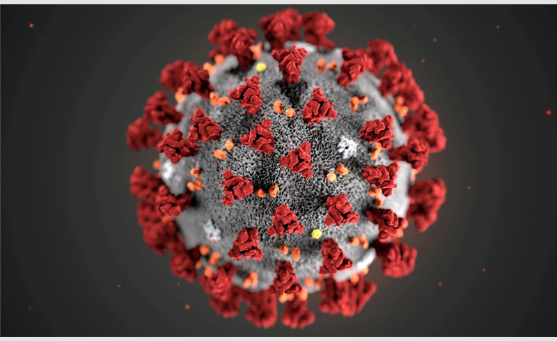 2021-02-19t194154z_1_lynxmpeh1i1cj_rtroptp_4_health-coronavirus-africa-variant.jpg