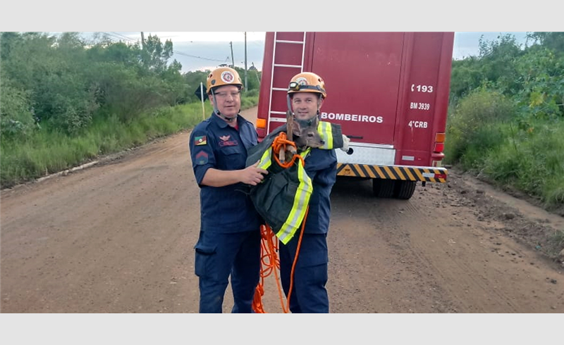 Corpo de Bombeiros de Restinga Sêca resgata veado