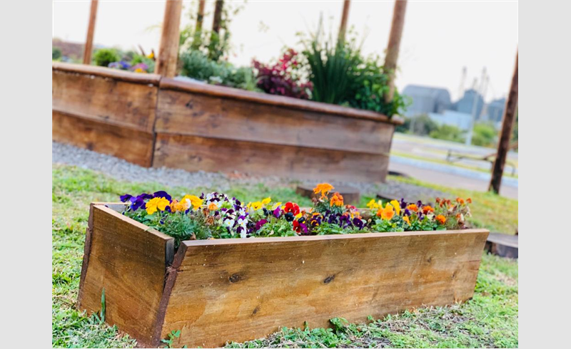 Árvores e flores colorem a cidade