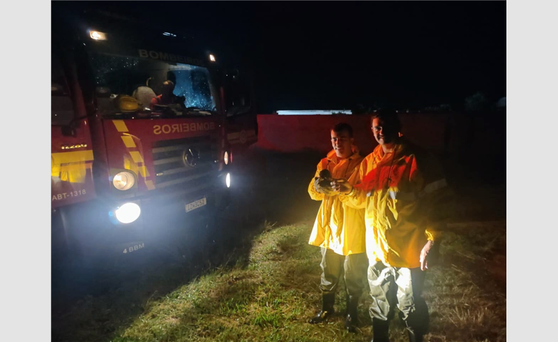 Bombeiros resgatam cachorrinho em sanga em Restinga Sêca