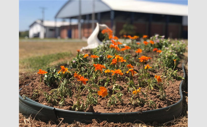 Município se prepara para 3ª Expo Restinga 