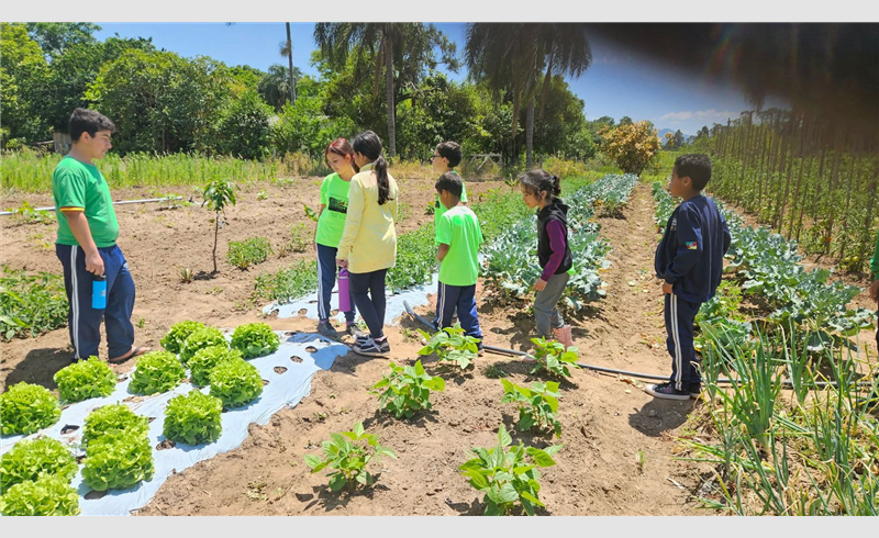 Estudantes da Escola Olmiro Pohlmann Cabral visitam comunidade quilombola e vivenciam saberes do campo
