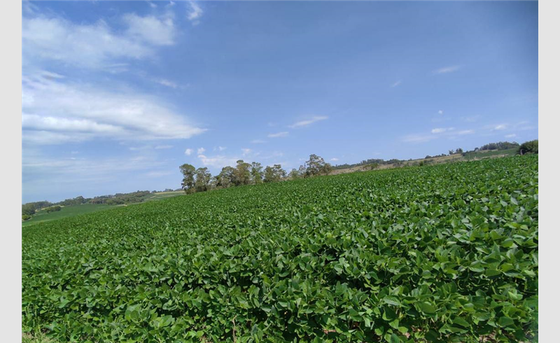 Emater e a Secretaria de Agricultura, Pecuária e Meio Ambiente de Restinga Sêca realiza seleção de beneficiários 