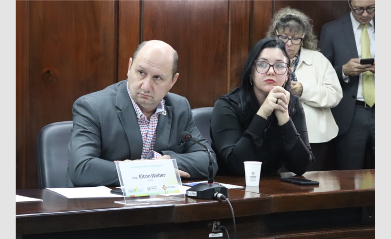 Deputado Estadual Elton Weber 