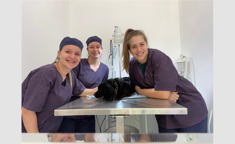 Serviço municipal de esterilização animal chega à 200 animais castrados