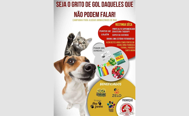 Comando feminino colorado promove campanha para ajudar animais em situação de abandono