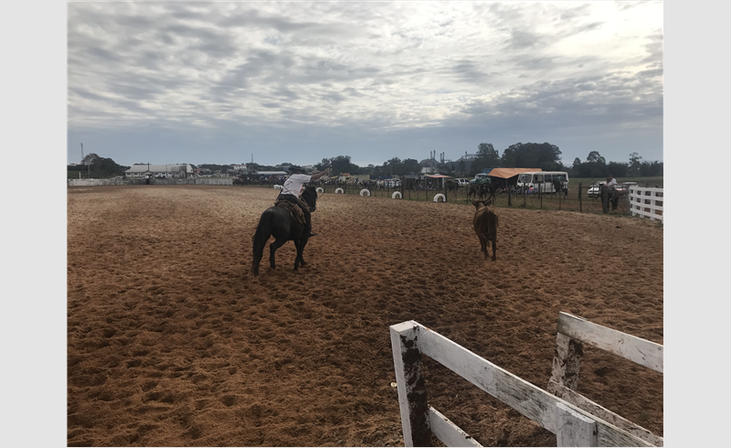 Confira os vencedores do Rodeio do Piquete de Laçadores Almiro Borges