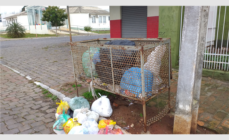 Seis animais foram encontrados mortos em lixeira na Rua Reinaldo Prade