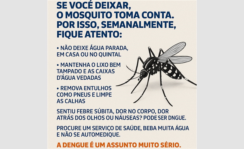 Combate à Dengue: Cuidados Simples Podem Salvar Vidas