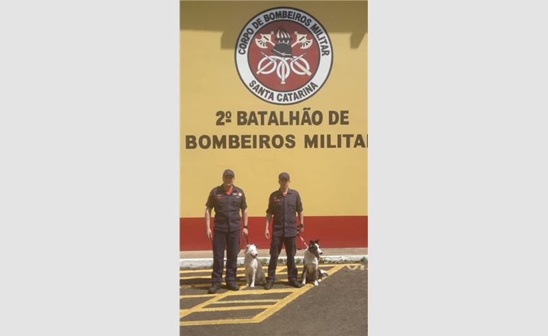 Bombeiros gaúchos fazem curso de capacitação em Treinamento de Técnicas de Busca de Restos Mortais