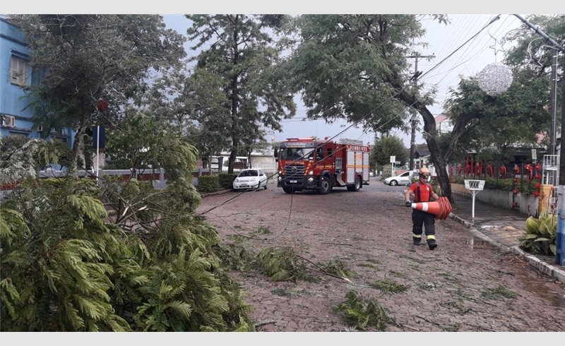 Ventos fortes derrubam árvores nas ruas Ricardo Müller e Moisés Cantarelli 