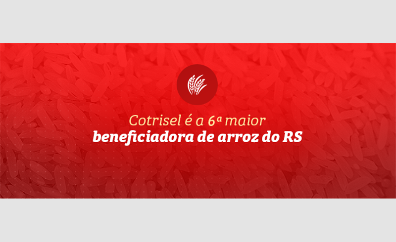 Cotrisel ocupa a 6ª posição entre as maiores beneficiadoras de arroz do RS