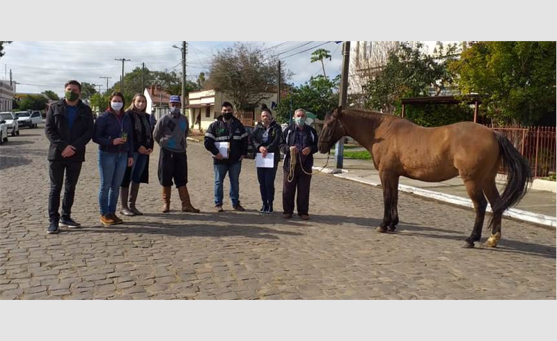 Primeira microchipagem em equino foi realizada em Restinga Sêca