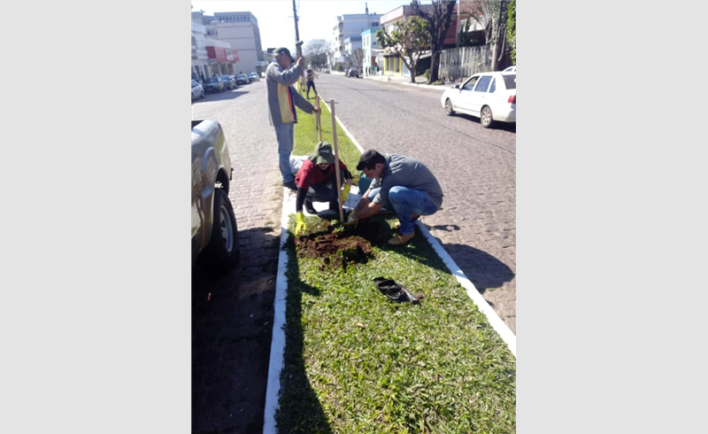 Secretaria do Meio Ambiente fez plantio de extremosas na Avenida Júlio de Castilhos