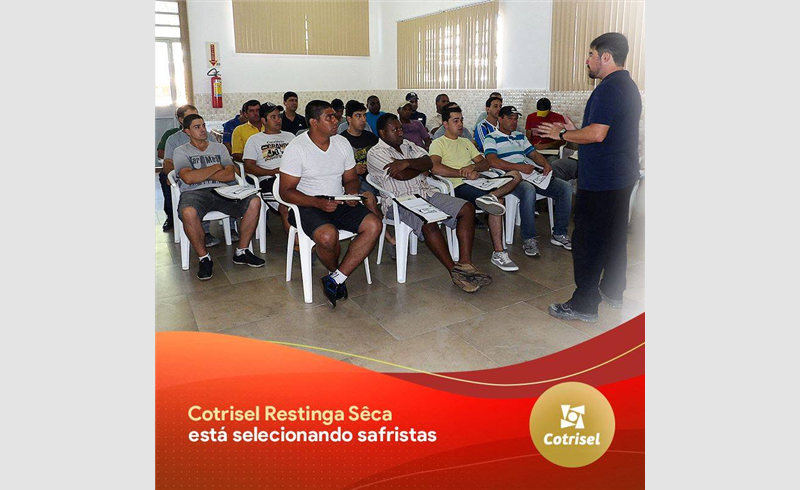 Cotrisel oferece vagas para emprego temporário